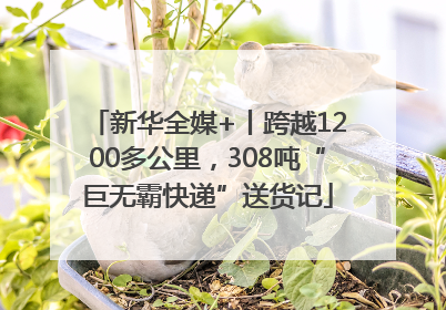 新华全媒+丨跨越1200多公里，308吨“巨无霸快递”送货记