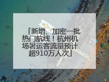 新增、加密一批热门航线！杭州机场暑运客流量预计超910万人次