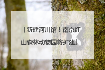 新建河川馆！南京红山森林动物园将扩建
