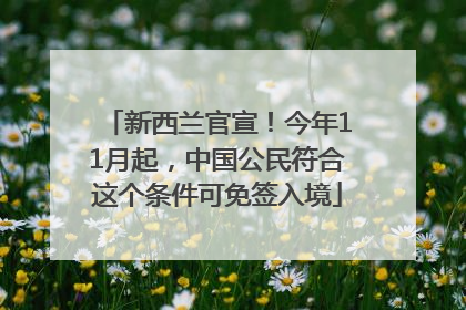 新西兰官宣！今年11月起，中国公民符合这个条件可免签入境