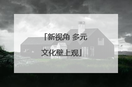 新视角 多元文化壁上观