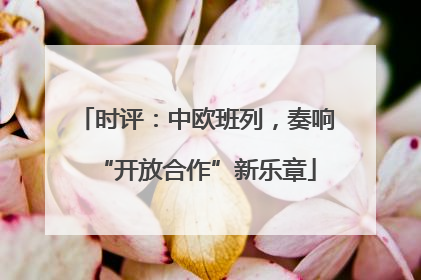 时评：中欧班列，奏响“开放合作”新乐章