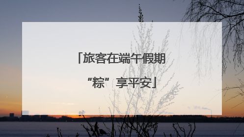 旅客在端午假期“粽”享平安