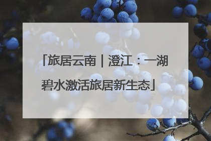旅居云南｜澄江：一湖碧水激活旅居新生态