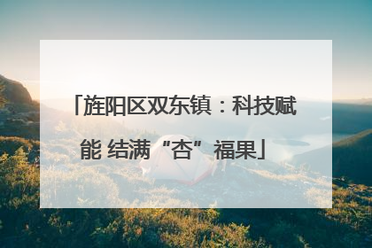 旌阳区双东镇：科技赋能 结满“杏”福果