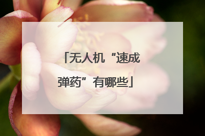 无人机“速成弹药”有哪些