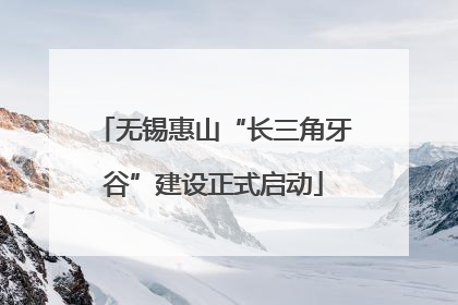 无锡惠山“长三角牙谷”建设正式启动