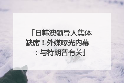 日韩澳领导人集体缺席！外媒曝光内幕：与特朗普有关
