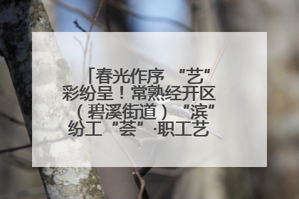 春光作序 “艺”彩纷呈！常熟经开区（碧溪街道）“滨”纷工“荟”·职工艺课堂点亮春日时光