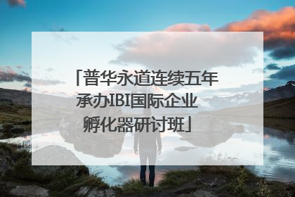 普华永道连续五年承办IBI国际企业孵化器研讨班