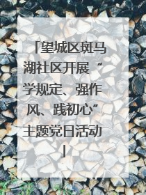 望城区斑马湖社区开展“学规定、强作风、践初心”主题党日活动