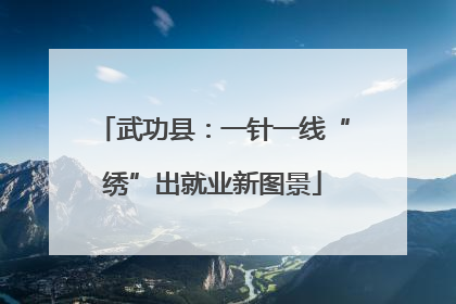 武功县：一针一线“绣”出就业新图景