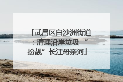 武昌区白沙洲街道：清理沿岸垃圾 “扮靓”长江母亲河