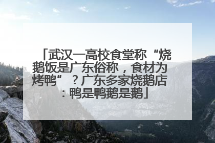 武汉一高校食堂称“烧鹅饭是广东俗称，食材为烤鸭”？广东多家烧鹅店：鸭是鸭鹅是鹅