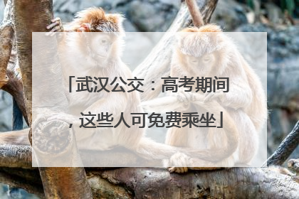 武汉公交：高考期间，这些人可免费乘坐