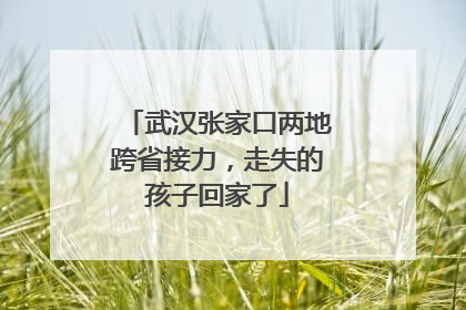 武汉张家口两地跨省接力，走失的孩子回家了