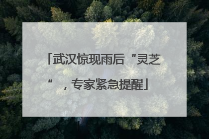 武汉惊现雨后“灵芝”，专家紧急提醒