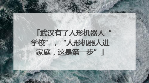 武汉有了人形机器人“学校”，“人形机器人进家庭，这是第一步”