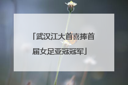 武汉江大首喜捧首届女足亚冠冠军