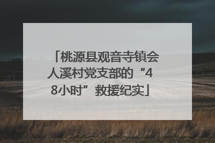 桃源县观音寺镇会人溪村党支部的“48小时”救援纪实