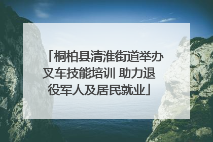桐柏县清淮街道举办叉车技能培训 助力退役军人及居民就业