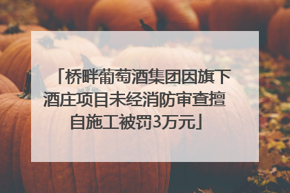 桥畔葡萄酒集团因旗下酒庄项目未经消防审查擅自施工被罚3万元