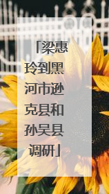 梁惠玲到黑河市逊克县和孙吴县调研