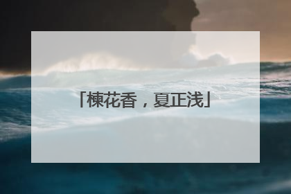 楝花香，夏正浅