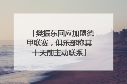 樊振东回应加盟德甲联赛，俱乐部称其十天前主动联系