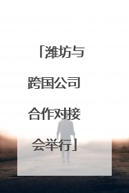 潍坊与跨国公司合作对接会举行