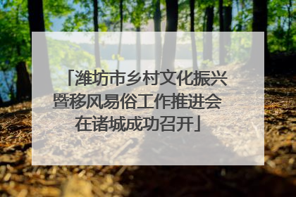 潍坊市乡村文化振兴暨移风易俗工作推进会在诸城成功召开