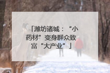 潍坊诸城：“小药材”变身群众致富“大产业”