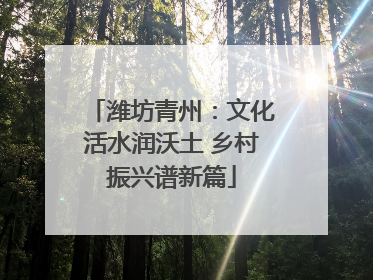 潍坊青州：文化活水润沃土 乡村振兴谱新篇