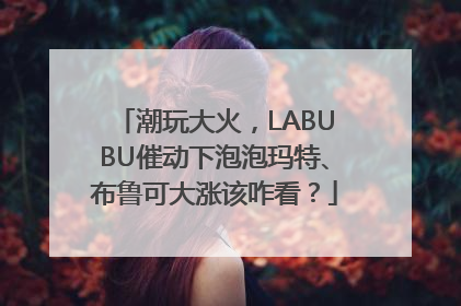潮玩大火，LABUBU催动下泡泡玛特、布鲁可大涨该咋看？