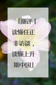 潮评丨读懂任正非访谈，读懂上升期中国