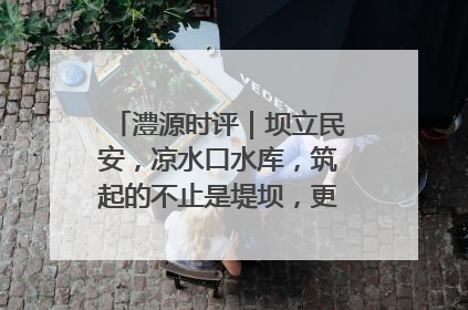 澧源时评｜坝立民安，凉水口水库，筑起的不止是堤坝，更是民心长城