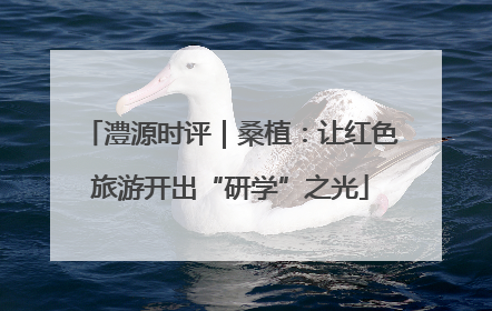 澧源时评｜桑植：让红色旅游开出“研学”之光