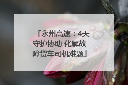 永州高速：4天守护协助 化解故障货车司机难题