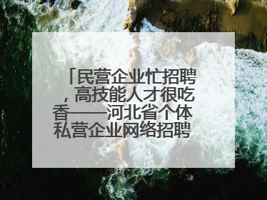 民营企业忙招聘，高技能人才很吃香——河北省个体私营企业网络招聘大会扫描