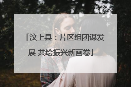 汶上县：片区组团谋发展 共绘振兴新画卷