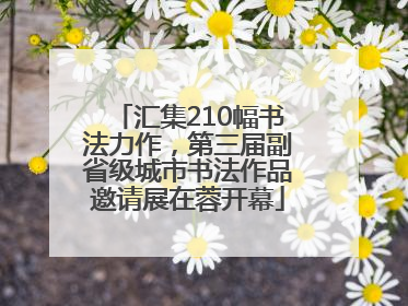 汇集210幅书法力作，第三届副省级城市书法作品邀请展在蓉开幕
