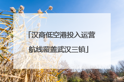 汉商低空港投入运营 航线覆盖武汉三镇