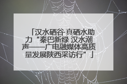 汉水硒谷·真硒水助力“秦巴新绿 汉水潮声——广电融媒体高质量发展陕西采访行”