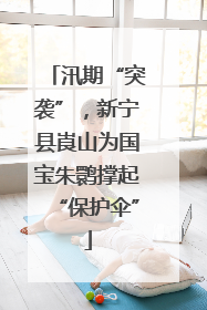 汛期“突袭”，新宁县崀山为国宝朱鹮撑起“保护伞”