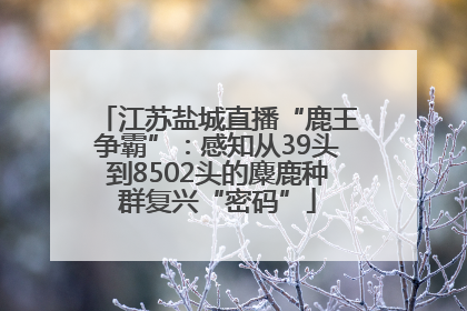 江苏盐城直播“鹿王争霸”：感知从39头到8502头的麋鹿种群复兴“密码”