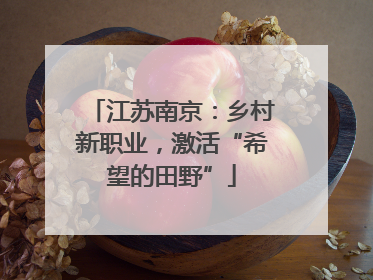 江苏南京：乡村新职业，激活“希望的田野”