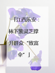 江西乐安：林下紫灵芝撑开群众“致富伞”