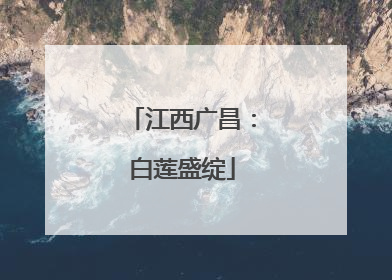 江西广昌：白莲盛绽