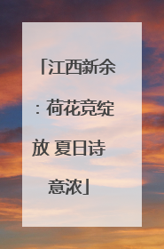江西新余：荷花竞绽放 夏日诗意浓