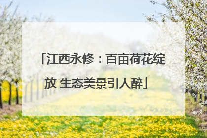 江西永修：百亩荷花绽放 生态美景引人醉
